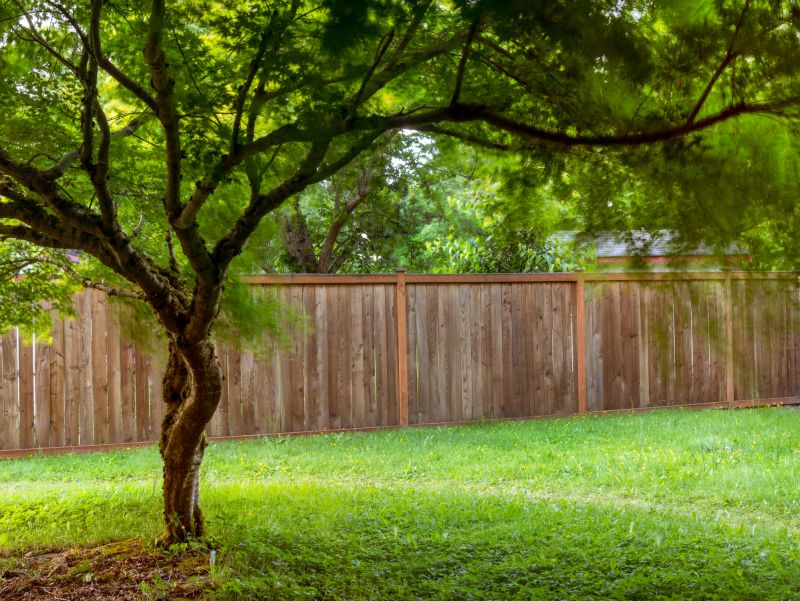 Fenced Backyard